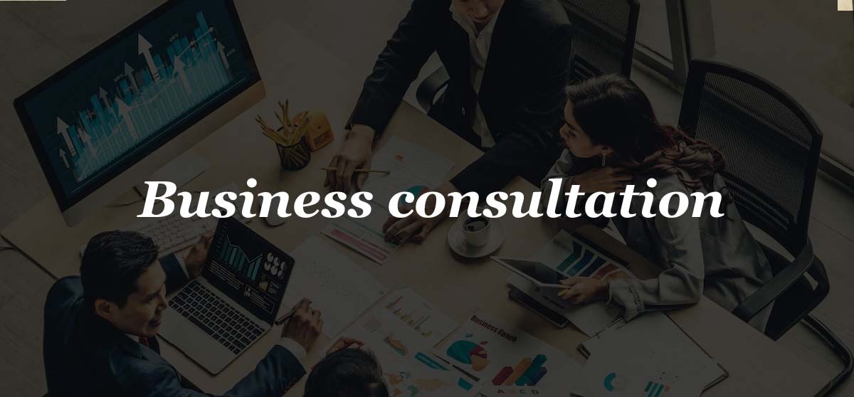 business consultation